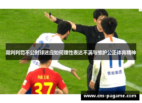 裁判判罚不公时球迷应如何理性表达不满与维护公正体育精神