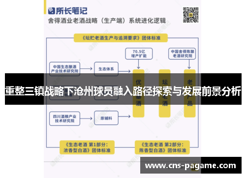 重整三镇战略下沧州球员融入路径探索与发展前景分析