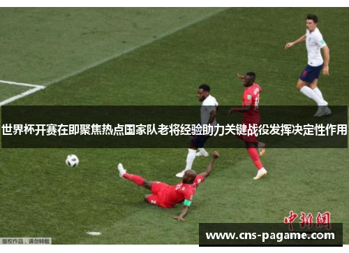 世界杯开赛在即聚焦热点国家队老将经验助力关键战役发挥决定性作用