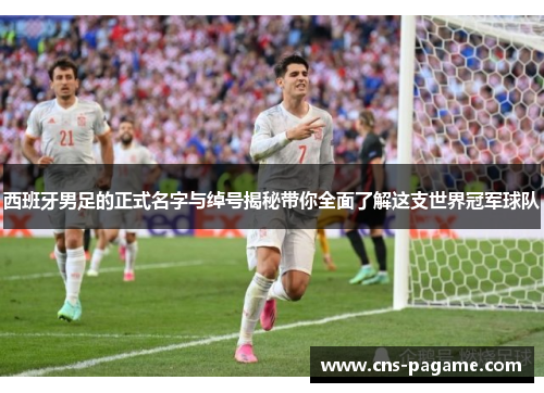 西班牙男足的正式名字与绰号揭秘带你全面了解这支世界冠军球队