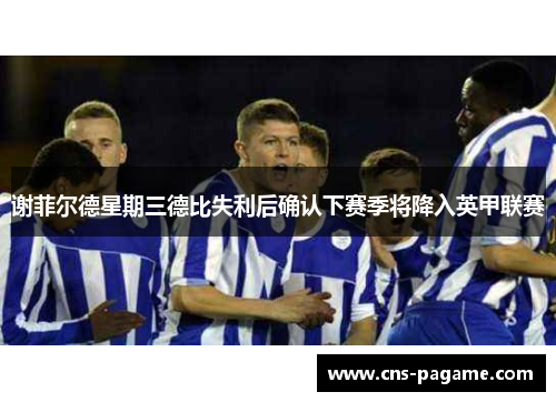 谢菲尔德星期三德比失利后确认下赛季将降入英甲联赛