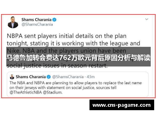 马德鲁加转会费达762万欧元背后原因分析与解读